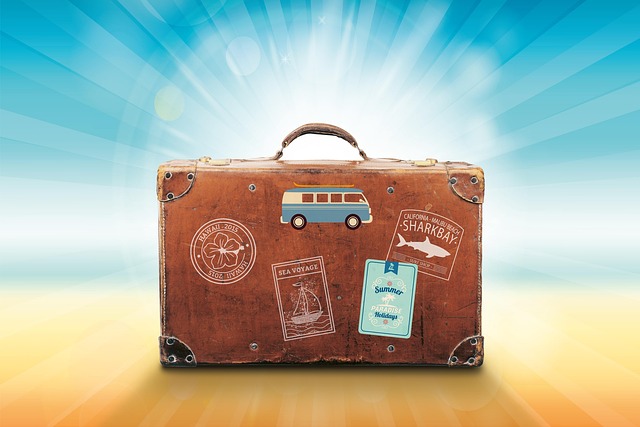organized travel packing cubes suitcase